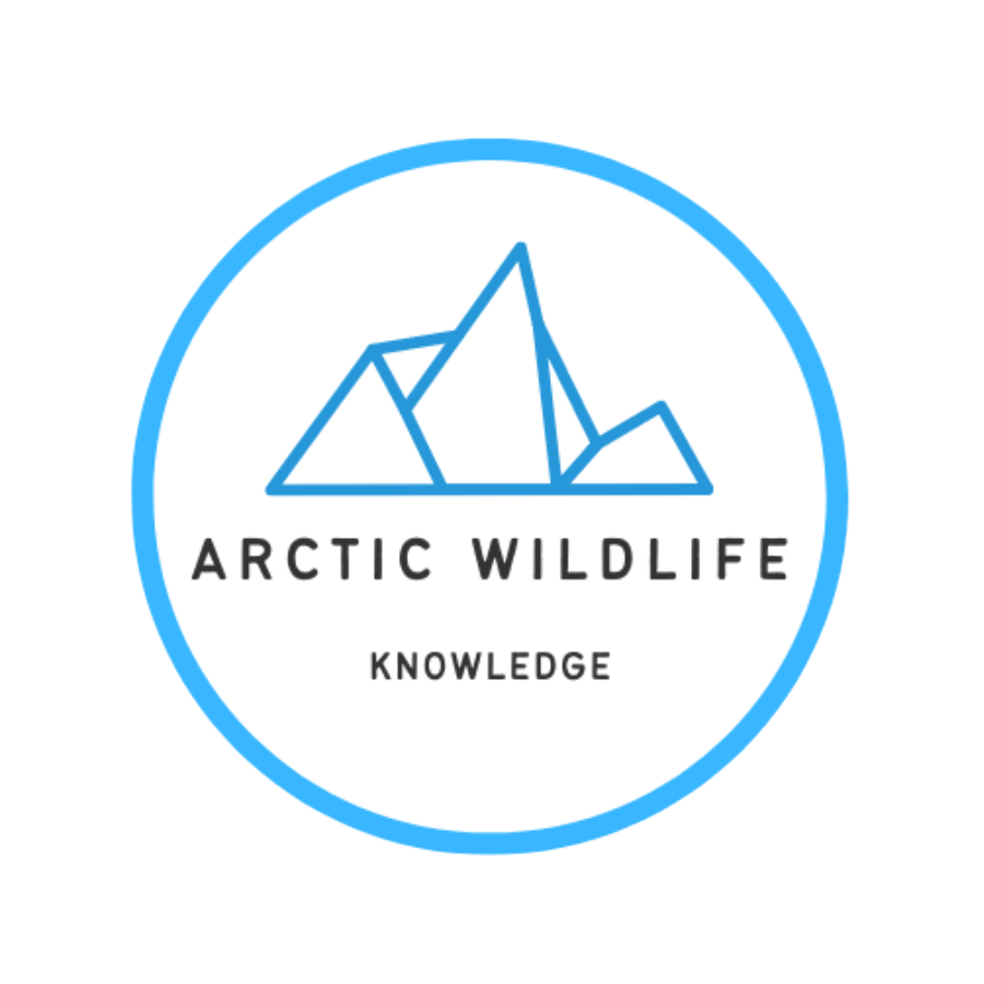 Arctic Wildlife Knowledge logo