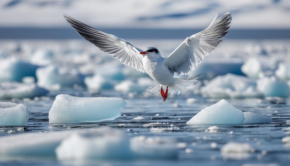 polar avians facing climate